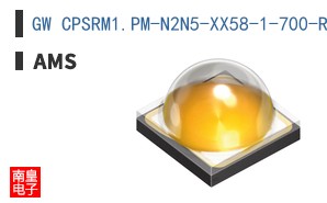 GW CPSRM1.PM-N2N5-XX58-1-700-R33