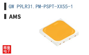 GW P9LR31.PM-PSPT-XX55-1